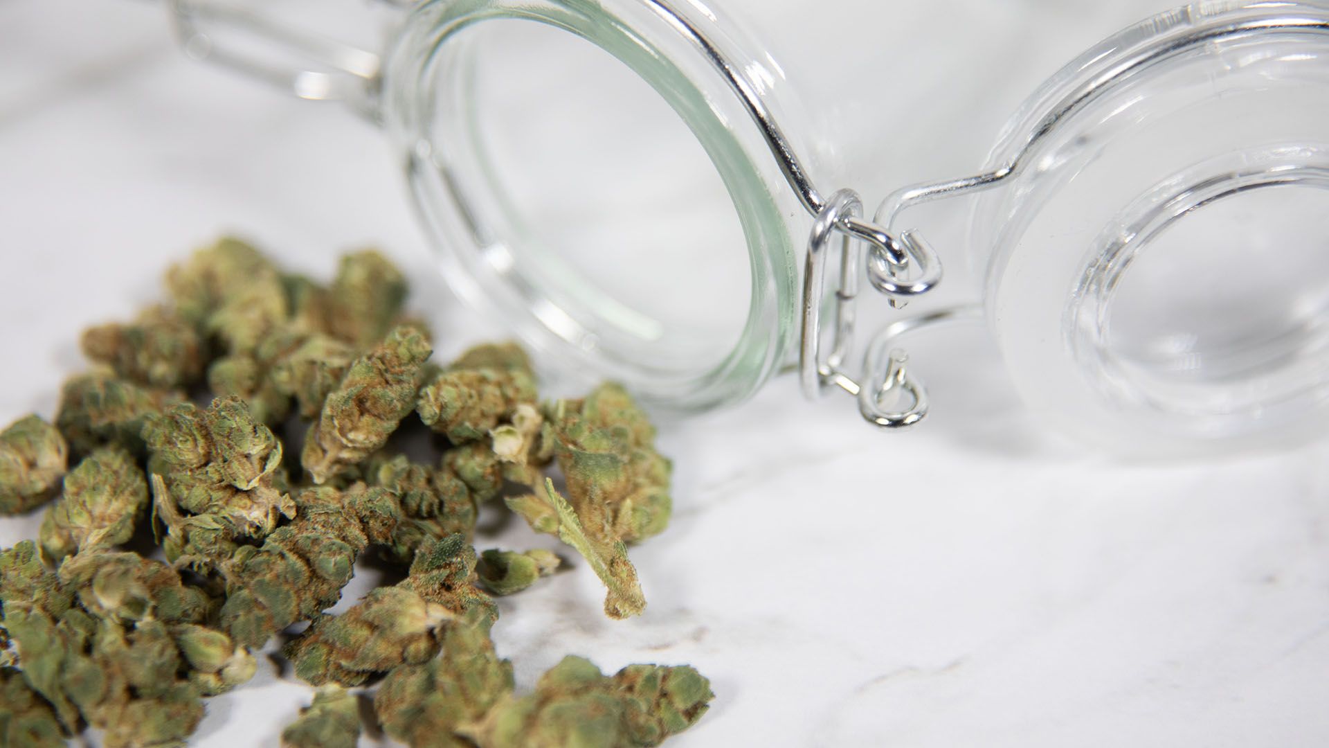 The Heart of Reform: Inside the Nonprofits Driving Medical Marijuana Advocacy